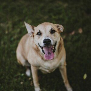 Meet your Posher, Jenn